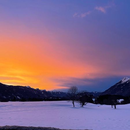 Naturgut Gailtal Sankt Stefan an der Gail Exterior foto